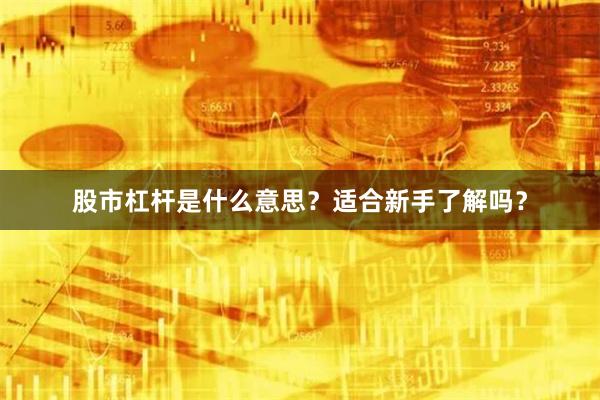 股市杠杆是什么意思？适合新手了解吗？