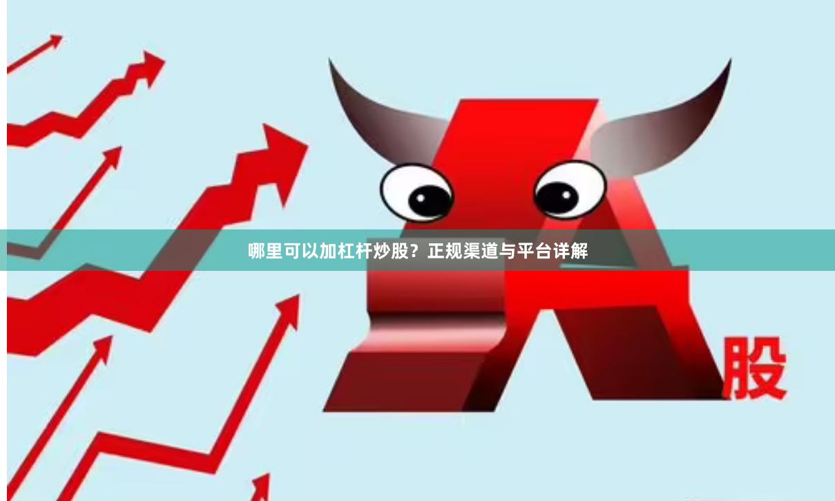 哪里可以加杠杆炒股？正规渠道与平台详解