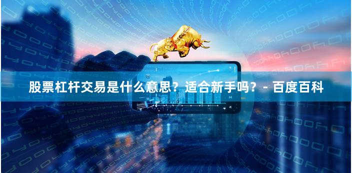 股票杠杆交易是什么意思？适合新手吗？- 百度百科